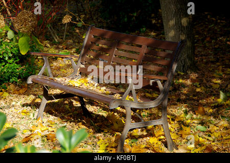 Vieux banc de bois parc au cours d'automne doré feuilles. beau temps. Banque D'Images