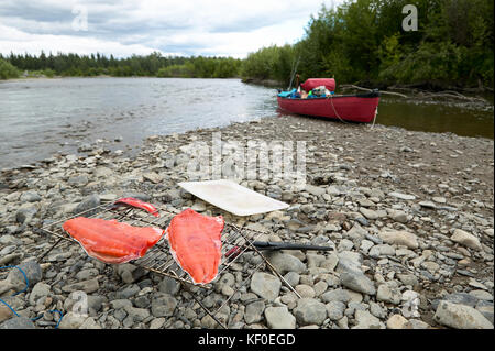 Et fraîchement pêchés nettoyés filets de saumon rouge à côté d'une rivière d'Alaska et du canoë pêche. Banque D'Images