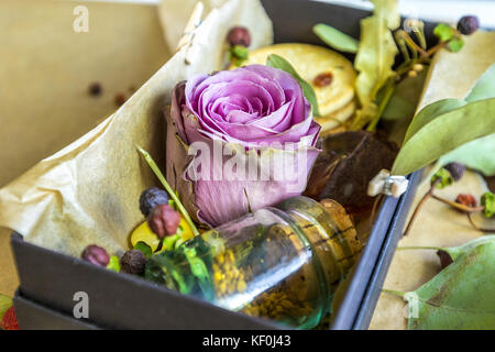 Rose en boîte noire avec une foule de petits détails sur papier fond Banque D'Images