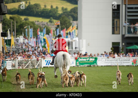 Royal Welsh Agricultural Show, le plus grand événement annuel dans la calandre agricole du Royaume-Uni, Builth Wells, Powys, Mid Wales . Juillet 2017 Banque D'Images