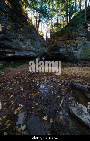 Voir d'pewits paisible naturelle d'état du nid sur une belle journée d'automne, près de baraboo, Sauk County, Wisconsin. Banque D'Images