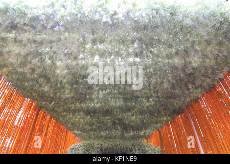 Tunnel d'arrangement de fleur en thai royal cremation cérémonie à pak klong marché aux fleurs Banque D'Images