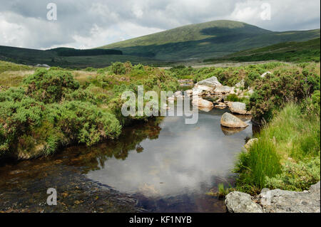 Rivière en montagnes de Wicklow, Irlande Banque D'Images