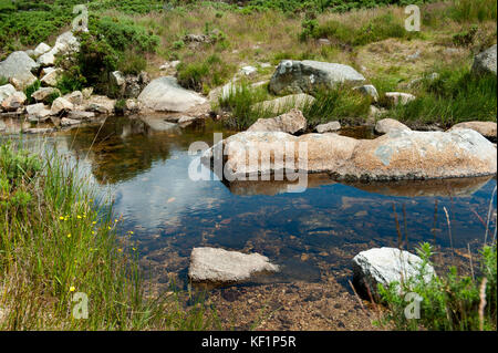 Rivière en montagnes de Wicklow, Irlande Banque D'Images