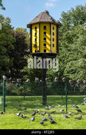 Tour à pigeons dans le stadtgarten, Dortmund, Ruhr, Rhénanie du Nord-Westphalie, Allemagne Banque D'Images