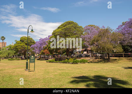 Milson Park, North Sydney, Sydney, NSW, Australie Banque D'Images