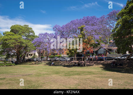 Milson Park, North Sydney, Sydney, NSW, Australie Banque D'Images
