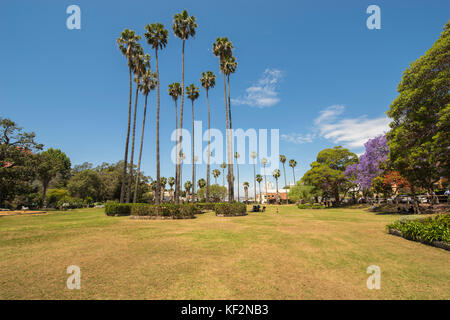 Milson Park, North Sydney, Sydney, NSW, Australie Banque D'Images