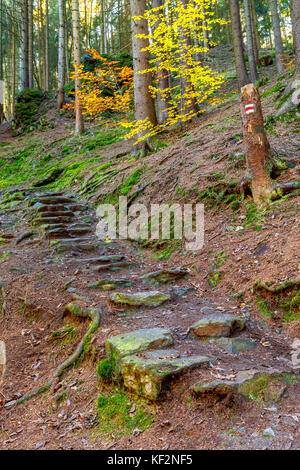 Escalier de pierre menant une passerelle à travers la vallée de Doubrava République tchèque, à l'automne automne Banque D'Images