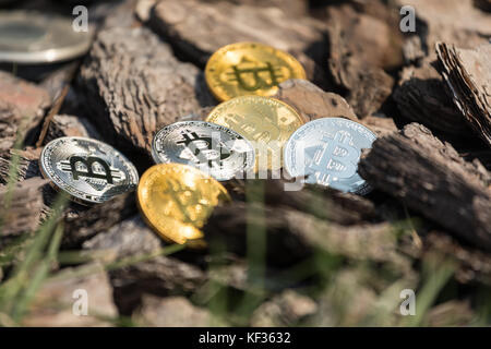 L'or et l'argent pièces de monnaie bitcoin se trouvent sur des chaînes de pin en bois Banque D'Images