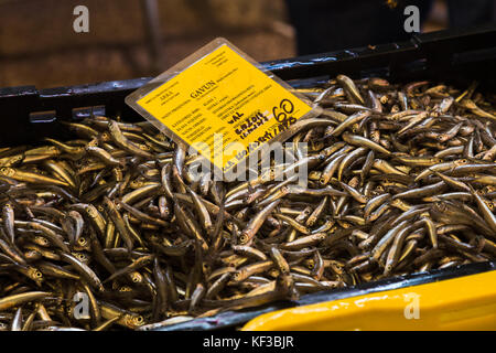 Une caisse de petits poisson fraîchement capturés dans la mer adriatique vu sur un étal au marché aux poissons très animé de split, un matin d'automne en 2017. Banque D'Images