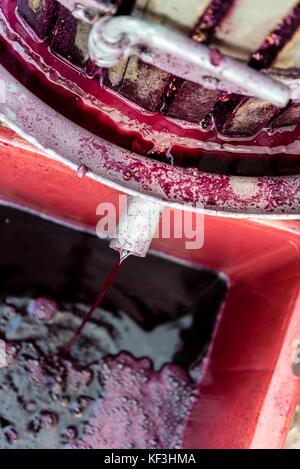 Vin rouge en bois avec la presse doit pour presser le raisin pour produire du vin. vieille technique traditionnelle de la fabrication du vin. photo verticale en bas de l'espace. Banque D'Images