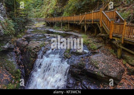 Chutes de Bushkill, 8 passerelles en bois le long des cascades, California's Pocono Mountains, United States Banque D'Images