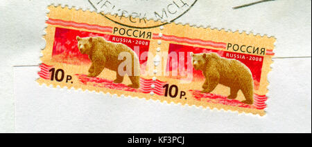 GOMEL, BÉLARUS, 13 OCTOBRE 2017, Timbre imprimé en Russie montre l'image des ours, vers 2008. Banque D'Images