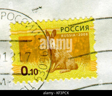 GOMEL, BÉLARUS, 13 OCTOBRE 2017, Timbre imprimé en Russie montre l'image du lièvre, vers 2008. Banque D'Images