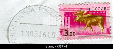 GOMEL, BÉLARUS, 13 OCTOBRE 2017, Timbre imprimé en Russie montre une image du wapiti, vers 2008. Banque D'Images