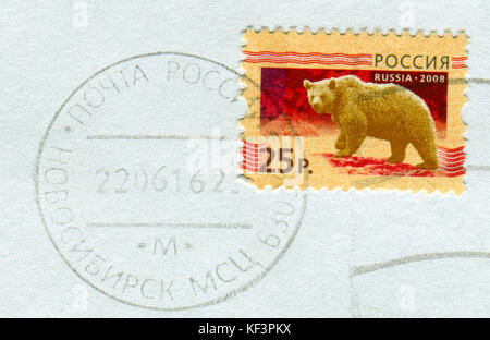 GOMEL, BÉLARUS, 13 OCTOBRE 2017, Timbre imprimé en Russie montre l'image de l'ours, vers 2009. Banque D'Images
