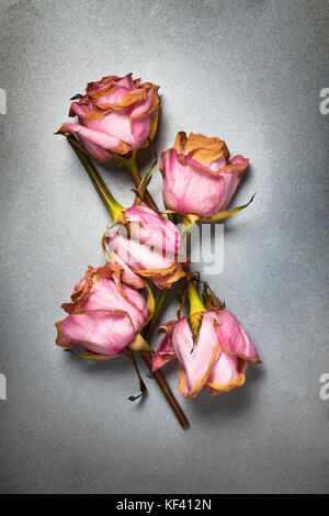 Belles fleurs rose séché sur vieux fond métal texturé Banque D'Images