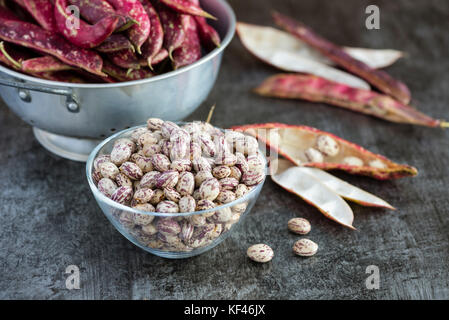 La formation des gousses de haricots borlotti frais dans la cuisine. Banque D'Images