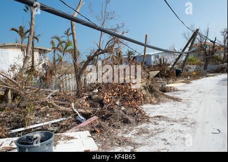 Des palmiers déracinés et des lignes électriques abattues jonchent la rue à la suite de l'ouragan Irma le 21 septembre 2017 à Ramrod Key, en Floride. Banque D'Images