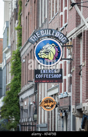 Les cafés Bull Dog dans le quartier rouge, Amsterdam, pays-Bas Banque D'Images