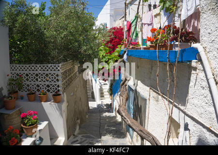 Mer Égée, typique des maisons décorées de fleurs, à Naxos town, Naxos, Cyclades, Mer Égée, Grèce Banque D'Images
