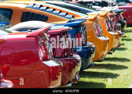 Montréal, Canada, 20 août, 2011.rangée de Ford Mustangs à un salon de voiture local. Crédit : Mario Beauregard/Alamy Live News Banque D'Images