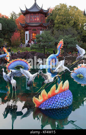 Canada, Québec, Montréal, jardin botanique, jardin chinois, fête des lanternes, les jardins de lumière, Banque D'Images