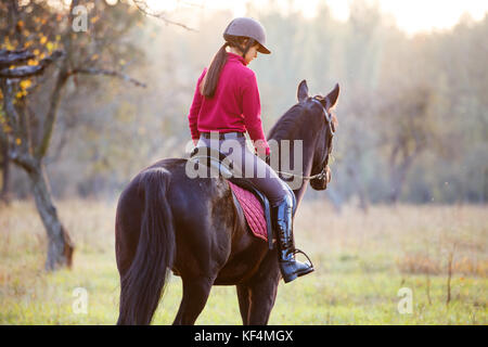 Jeune fille sur bay horse park à l'automne au coucher du soleil. woman riding horse in park Banque D'Images