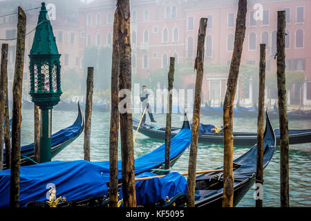 Matin brumeux. Aviron Gondolier sur le Grand canal, Venise, Vénétie, Italie Banque D'Images