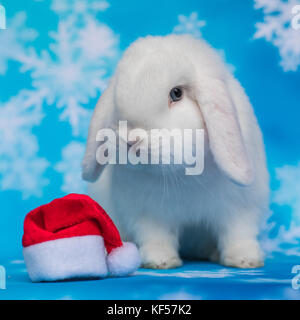 Lapin de Noël Banque D'Images