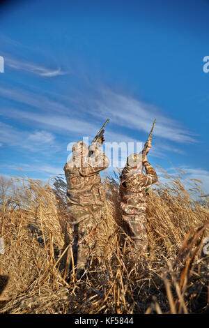 Vue arrière des deux chasseurs de sauvagine camouflé tir pendant la chasse aux beaux jours Banque D'Images