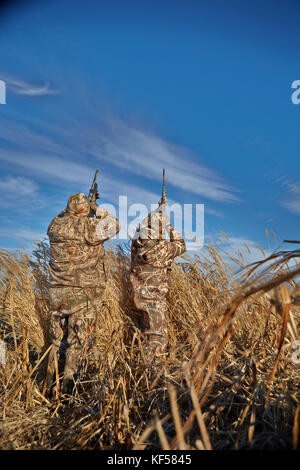 Deux chasseurs de sauvagine chasse avec fusil dans ciel lors de la chasse aux canards sur sunny day Banque D'Images