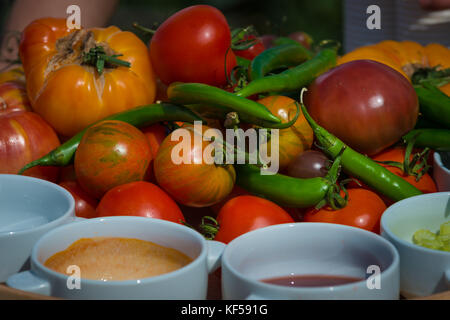 Tomates, fruit de la plante Solanum lycopersicum à Kew Botanic Gardens, London, United Kingdom Banque D'Images