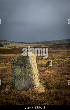 Achnagarron pierres debout près de Rogart, Sutherland, les Highlands écossais, UK Banque D'Images