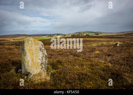 Achnagarron pierres debout près de Rogart, Sutherland, les Highlands écossais, UK Banque D'Images