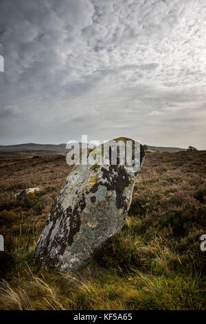 Achnagarron pierres debout près de Rogart, Sutherland, les Highlands écossais, UK Banque D'Images