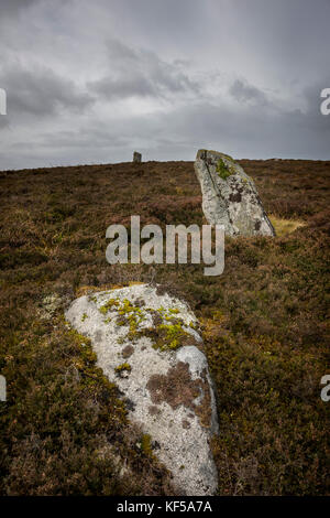 Achnagarron pierres debout près de Rogart, Sutherland, les Highlands écossais, UK Banque D'Images