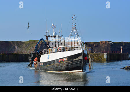 Port de chalutiers à Eyemouth, Ecosse Banque D'Images