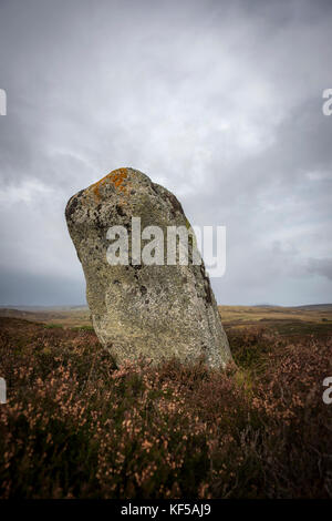 Achnagarron pierres debout près de Rogart, Sutherland, les Highlands écossais, UK Banque D'Images