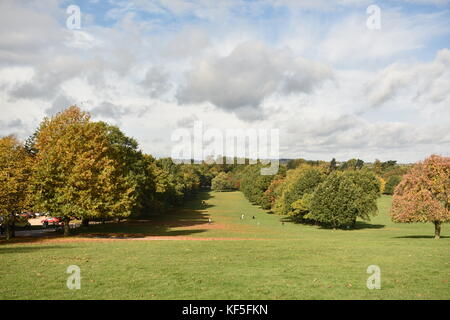 Wollaton hall Deer Park view Banque D'Images