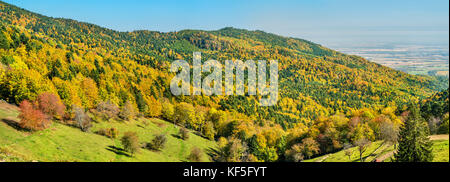 Paysage d'automne des Vosges en Alsace, France Banque D'Images