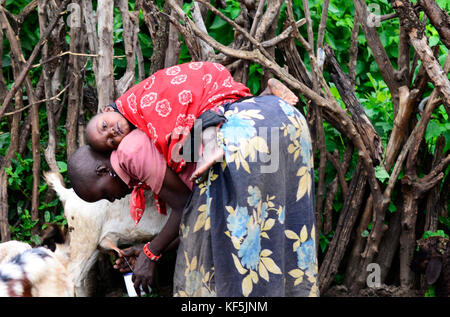 Une femme portant un bébé traire une vache dans son petit village du nord de la Tanzanie. Banque D'Images