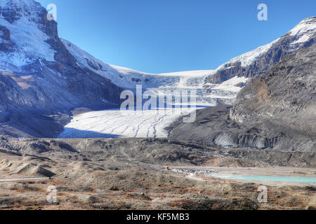 Le glacier Athabasca dans le parc national de Jasper, Canada Banque D'Images