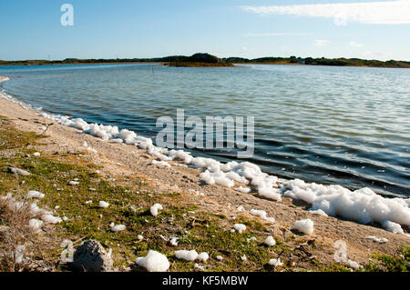 Le sel de la mousse sur le lac herschel - Rottnest Island - Australie Banque D'Images