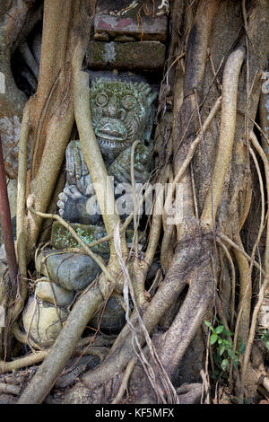 Statue aux racines de croissance d'un arbre de Bodhi (Ficus religiosa). Musée d'art Agung Rai (ARMA). Ubud, Bali, Indonésie. Banque D'Images