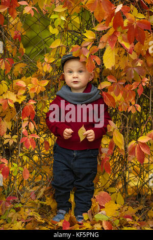 Enfant Garçon Avec Des Feuilles D'automne Enfant Mignon En Pull