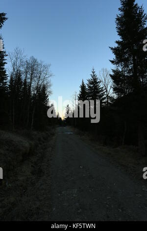 Icy congelé Drit route allant à travers la forêt Banque D'Images