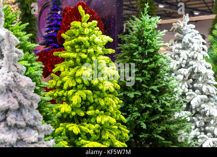 Arbres de Noël avec décoration de neige, nouvel an Banque D'Images