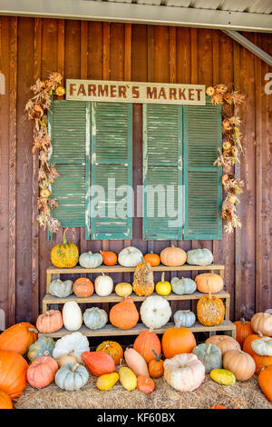 Marché de signalisation et d'affichage de citrouilles et courges pour halloween et les vacances de Thanksgiving du sweet creek, marché pike Road New York, USA. Banque D'Images